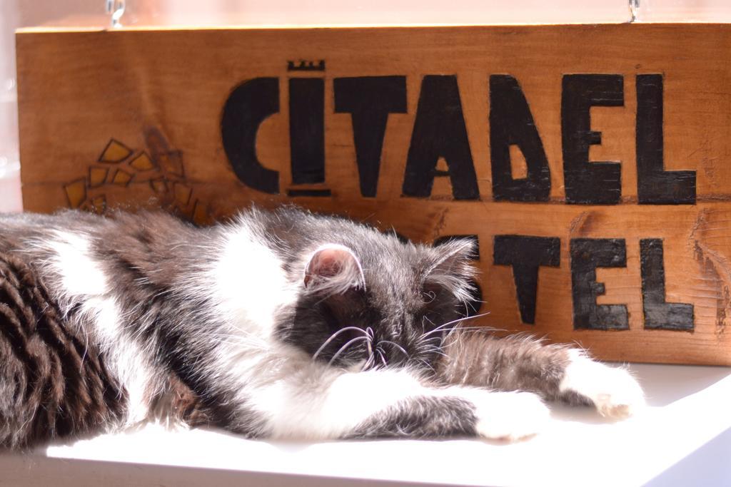 Citadel Hostel Alba Iulia Extérieur photo